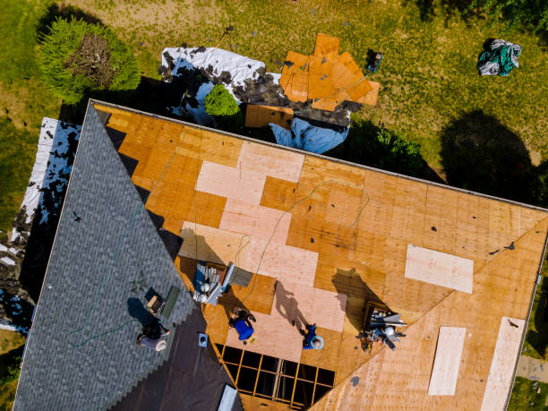 Best Storm Damage Roof Repair  in Franklin, KY